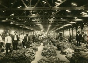 Historic image of Maryland tobacco auction